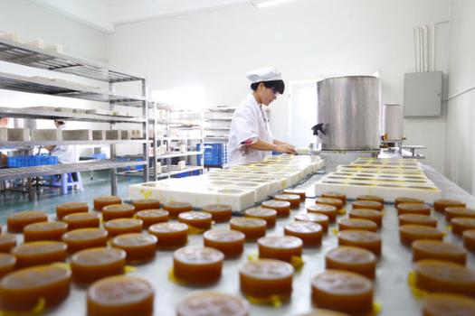 以生物科技為翼，多元布局大健康產業——記一家涵蓋研發、生產與創新的綜合性企業